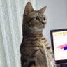 Фото профиля 生涯シスコン