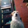 Samuel con S profil fotoğrafı