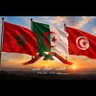 عبدالله أبو آدم المغربي's profile picture