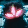 obkatiekat🐾➡️VEXPO's profile picture