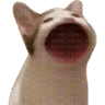 Profilbild von i do give a Duck