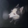 worlddd's profile picture