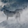 🐺🇹🇷🇹🇷🇹🇷🇹🇷🐺 profil fotoğrafı