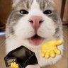 Gromko Pernul profil fotoğrafı