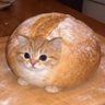 zhantom's profile picture