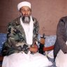 Bin Laden 的头像