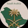 عاشق الوطن's profile picture
