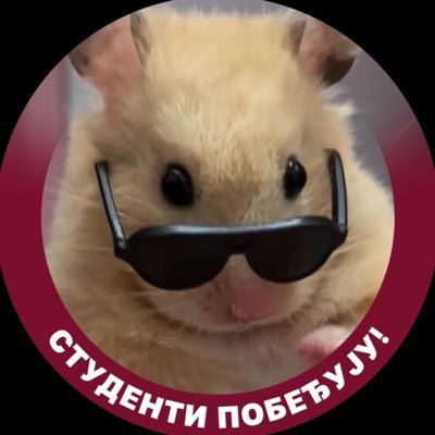 karfioliravioli's profile picture