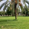 Profilbild von عطيه الزهراني