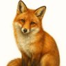 Nature words😾 profil fotoğrafı