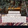 المُنصف 的头像