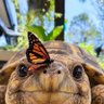 AMK profil fotoğrafı