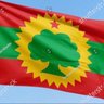 Фото профиля Milkesaa Garadhaa 🌳🇪🇹
