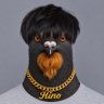 Profilbild von Hino