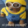 Profilbild von papoador