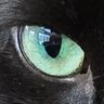 Profilbild von l̵̛̛̮̖̰̼̱̣͕̗̞͓̔̎́̎͑̽̄̅̄̇̓̓̓̆̚͜l̵̛̛̮̔̎́̎͑̽̄̅̄̇̓̓̓̆̚