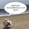 ๊ฟ์์ ๋ณธ ๋ชจ๋ฒ์'s profile picture