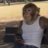 _mongan's profile picture
