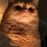 Chris P. Bacon's profile picture