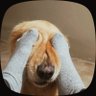 yeme72's profile picture