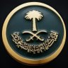 محمد المطيري 的头像