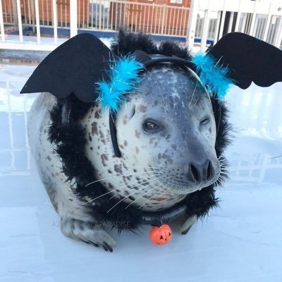 Fish Lyncher's profile picture