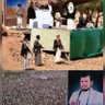 وايلي profil fotoğrafı