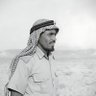 Фото профиля صوت المغرد الجنوبي