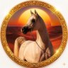 𝐓𝐡𝐞 𝐃𝐞𝐬𝐞𝐫𝐭 𝐊𝐧𝐢𝐠𝐡𝐭 🇸🇦's profile picture