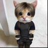 c0medorDcasadas's profile picture