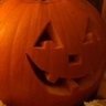 Profilbild von t