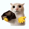 Sventhz's profile picture