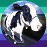 Levi ๐'s profile picture