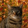 🍂🍄🐾 Fawna + Angels Jemima & Shooby-Do🌈 profil fotoğrafı