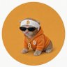 Issues's profile picture