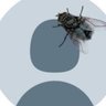 Charlie's profile picture