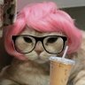 Jo viu o En- ๏พ.โช+:๏ฝกโช(ใ^ใผ^ใ)โช๏พ.+:๏ฝกโช's profile picture