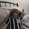 joão lucas's profile picture