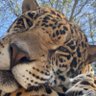 i. profil fotoğrafı