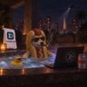Profilbild von DeFiDog