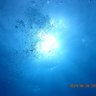 狂い咲き君 profil fotoğrafı