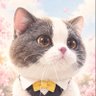 BigBigBilly's profile picture