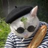 Profilbild von ZeroSequels