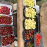 Profilbild von Dragon Springs Farm