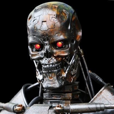 Skynetonsol's profile picture