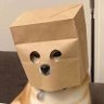 Ali's profile picture