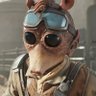 Matt's profile picture