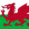 Profilbild von Tafi 🏴🇬🇧