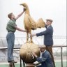 SpursyTottenham's profile picture