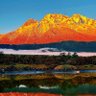 山焱 的头像